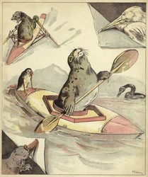 Seal Canoeing